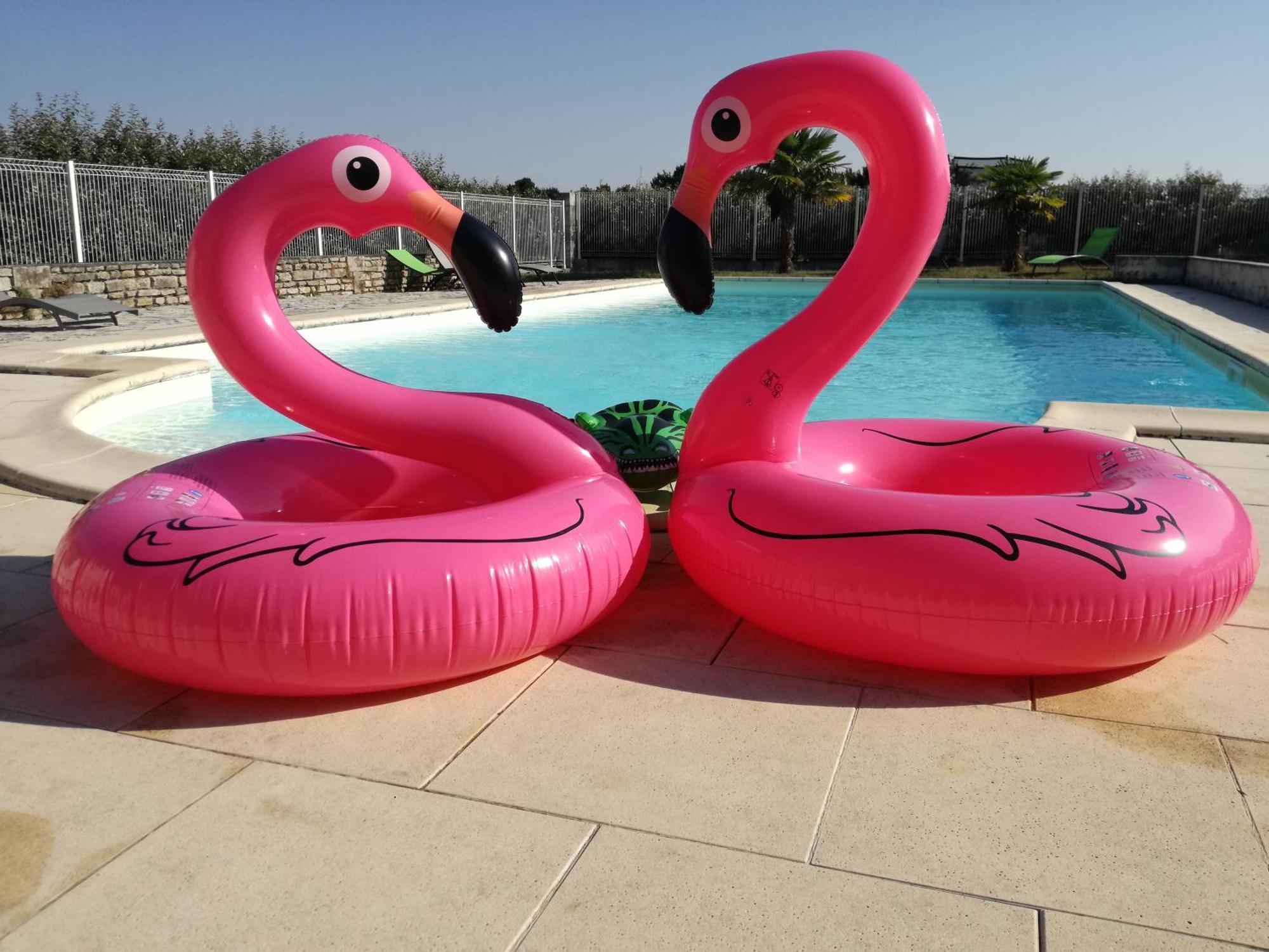 Domaine De La Laigne - Spa Asnieres-la-Giraud Bagian luar foto