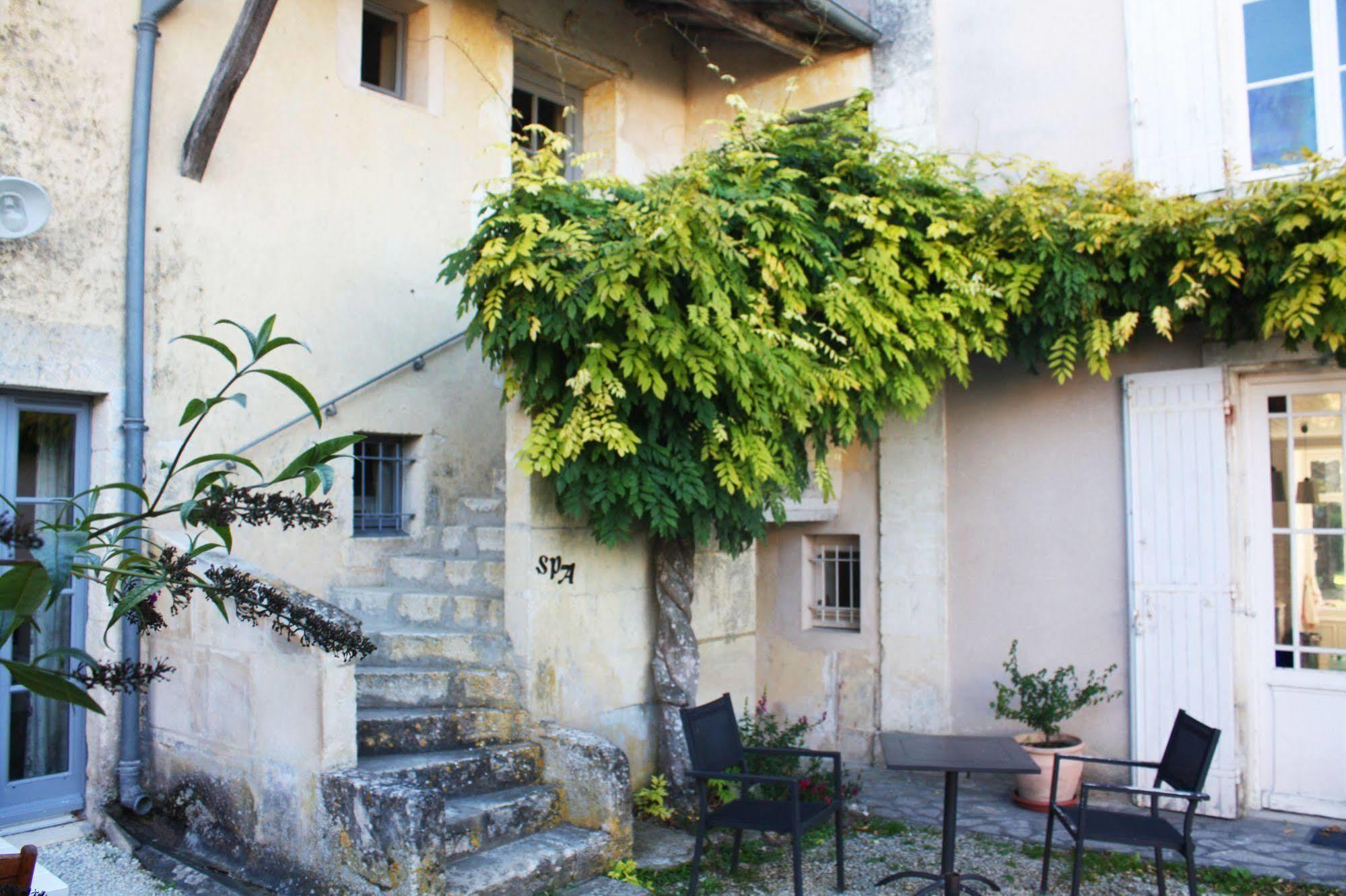 Domaine De La Laigne - Spa Asnieres-la-Giraud Bagian luar foto